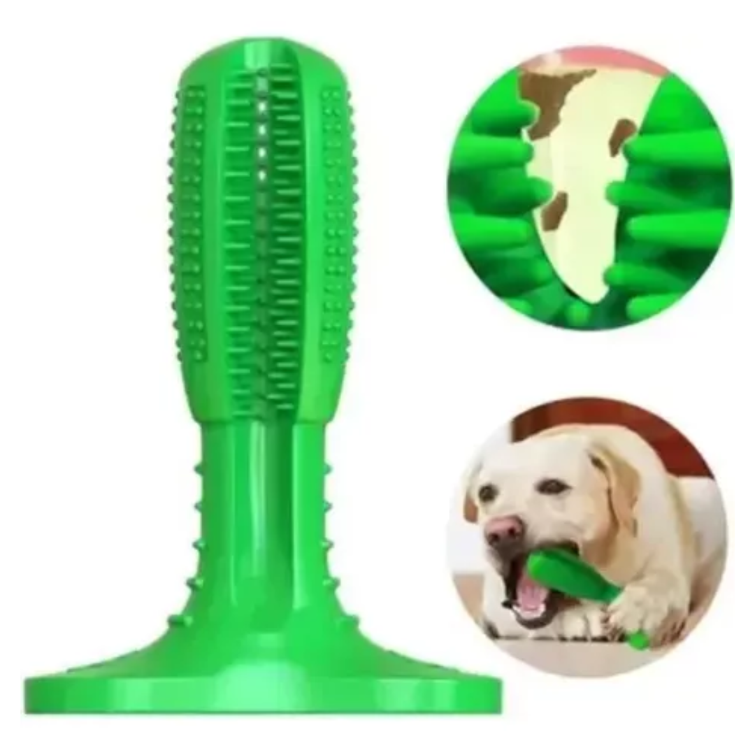 Mastershop Product Image