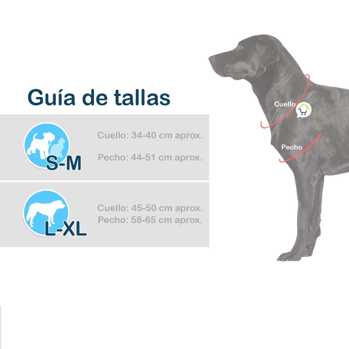 Disfraz de Chucky para Mascotas (Perros y Gatos)