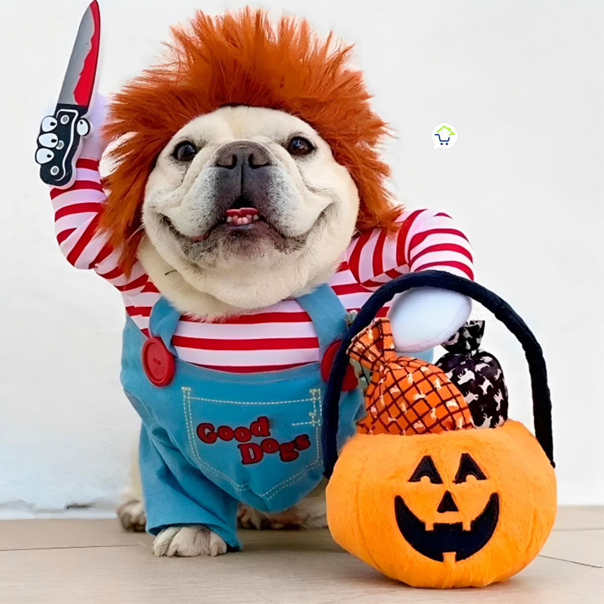 Disfraz de Chucky para Mascotas (Perros y Gatos)