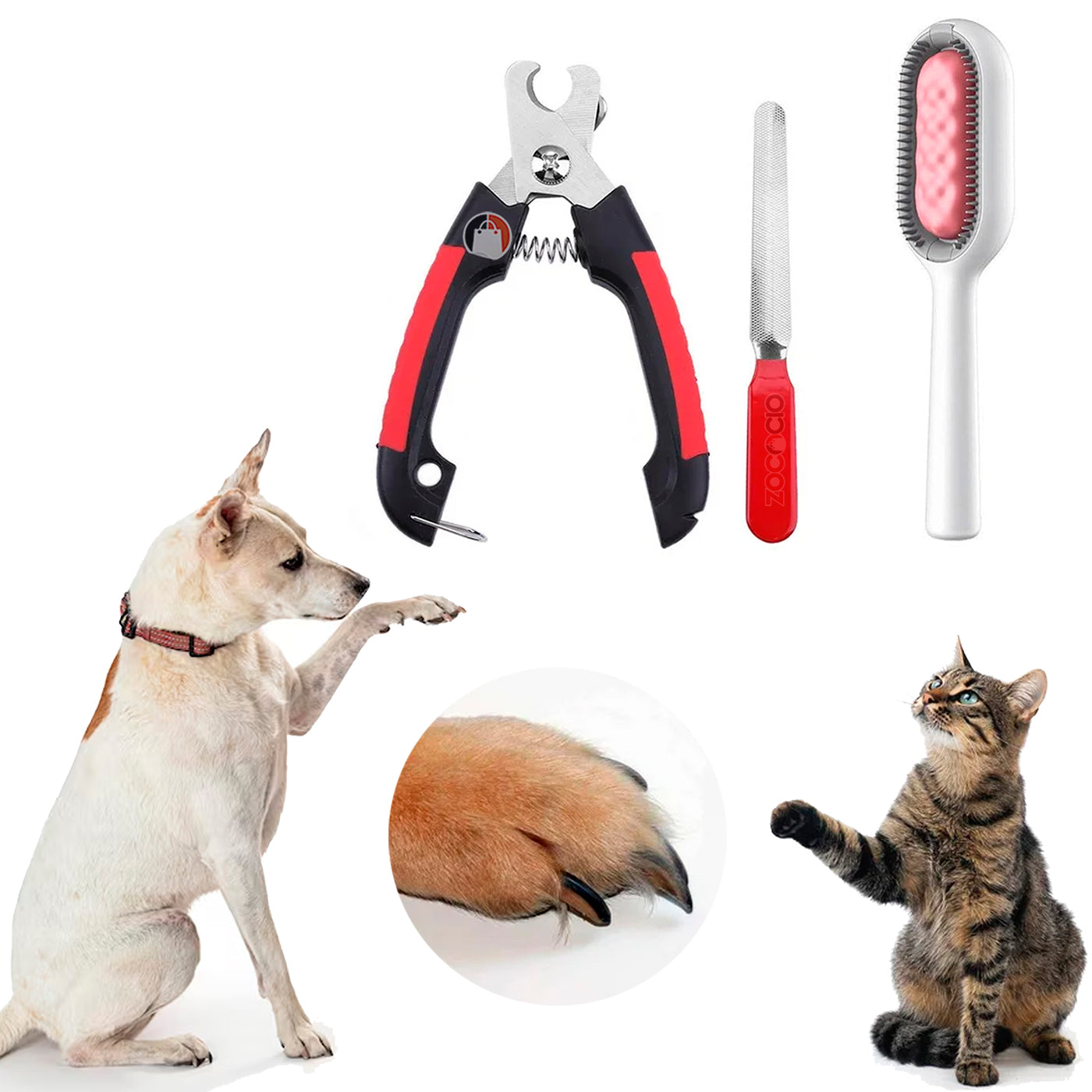 Mastershop Product Image